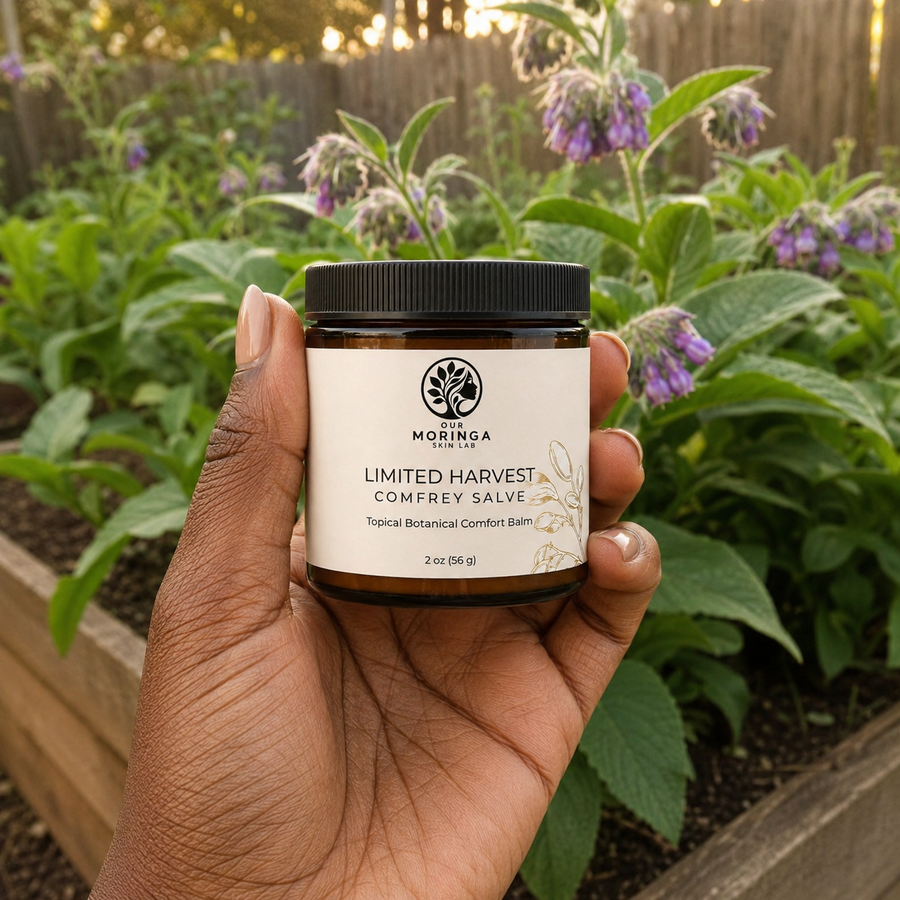 Limited Harvest Comfrey Salve — Soothing Botanical Comfort Balm
